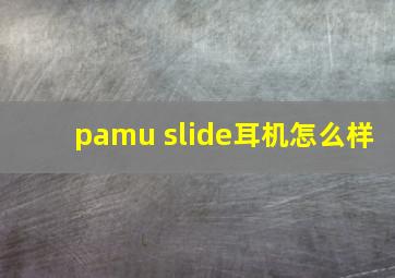 pamu slide耳机怎么样